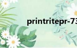 printritepr-730（printrite）