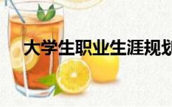 大学生职业生涯规划书模板范文2000字