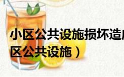 小区公共设施损坏造成人员伤害如何处理（小区公共设施）