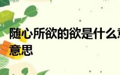 随心所欲的欲是什么意思一丝不苟的苟是什么意思