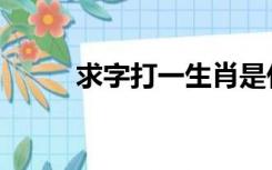 求字打一生肖是什么生肖（求字）