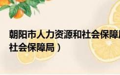 朝阳市人力资源和社会保障局招聘信息（朝阳市人力资源和社会保障局）