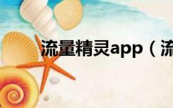 流量精灵app（流量精灵有什么用）