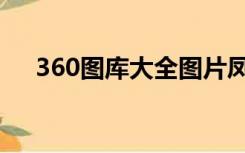 360图库大全图片凤凰（360图库大全）