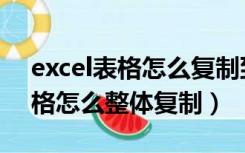 excel表格怎么复制到另一个表格（excel表格怎么整体复制）