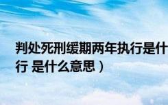 判处死刑缓期两年执行是什么意思啊（判处死刑缓期2年执行 是什么意思）