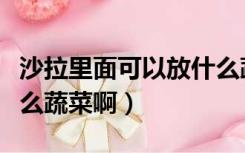 沙拉里面可以放什么蔬菜（蔬菜沙拉里都放什么蔬菜啊）