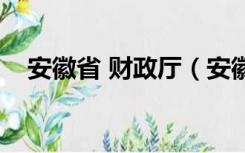 安徽省 财政厅（安徽省财政厅官方网站）