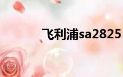 飞利浦sa2825（飞利浦sa28）