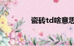 瓷砖td啥意思（td啥意思）