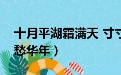 十月平湖霜满天 寸寸青丝愁华年（寸寸青丝愁华年）