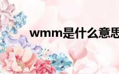 wmm是什么意思（wmm是什么）