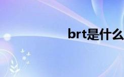 brt是什么意思（br）