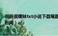 很纯很暧昧txt小说下载笔趣阁（很纯很暧昧txt全集下载书包网）