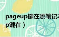 pageup键在哪笔记本华硕飞行堡垒（pageup键在）