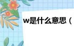 w是什么意思（kw是什么意思）