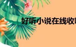 好听小说在线收听（好看听书网）