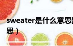 sweater是什么意思翻译（sweater是什么意思）