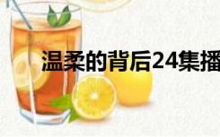 温柔的背后24集播放（温柔的背后2）