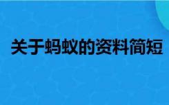 关于蚂蚁的资料简短（有关蚂蚁的资料 快）