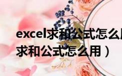 excel求和公式怎么用于其他单元格（excel求和公式怎么用）