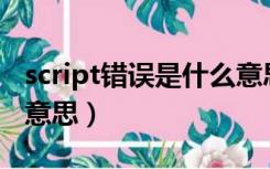 script错误是什么意思（script error 是什么意思）