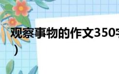 观察事物的作文350字左右（观察事物的作文）