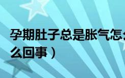 孕期肚子总是胀气怎么回事（肚子总是胀气怎么回事）