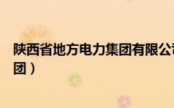 陕西省地方电力集团有限公司工资待遇（陕西省地方电力集团）