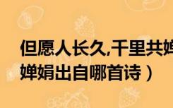 但愿人长久,千里共婵娟出自哪首诗（千里共婵娟出自哪首诗）