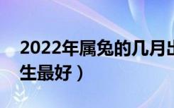 2022年属兔的几月出生最好（属兔的几月出生最好）