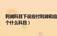 利润科目下设应付利润和应付股利一样吗?（应付利润是一个什么科目）