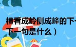 横看成岭侧成峰的下一句是（横看成岭侧成峰下一句是什么）