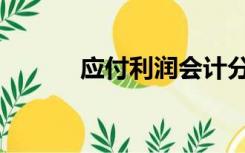 应付利润会计分录（应付利润）