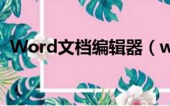 Word文档编辑器（word文档在线编辑器）