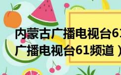 内蒙古广播电视台61频道在线直播（内蒙古广播电视台61频道）