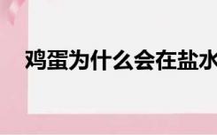 鸡蛋为什么会在盐水中浮起来作文300字