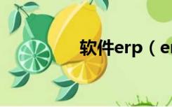 软件erp（erp软件介绍）