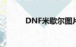 DNF米歇尔图片（dnf米歇尔）