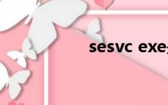 sesvc exe是什么进程