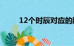 12个时辰对应的脏器（12个时辰）