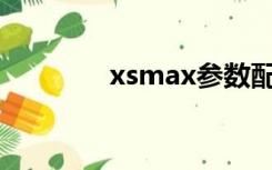 xsmax参数配置（Xsmax）