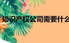 知识产权公司需要什么资质（知识产权公司）