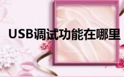 USB调试功能在哪里（s4 usb调试在哪里）