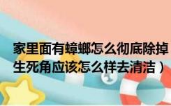 家里面有蟑螂怎么彻底除掉（家里有蟑螂怎么办家里那些卫生死角应该怎么样去清洁）