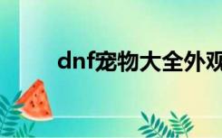 dnf宠物大全外观（dnf宠物大全）