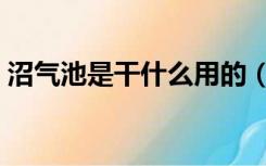 沼气池是干什么用的（沼气池的作用是什么）