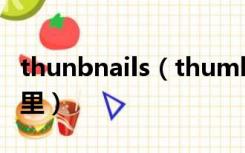 thunbnails（thumbnails是什么意思在手机里）