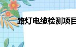 路灯电缆检测项目（电缆检测项目）