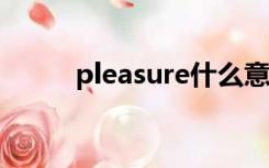 pleasure什么意思（pleasures）